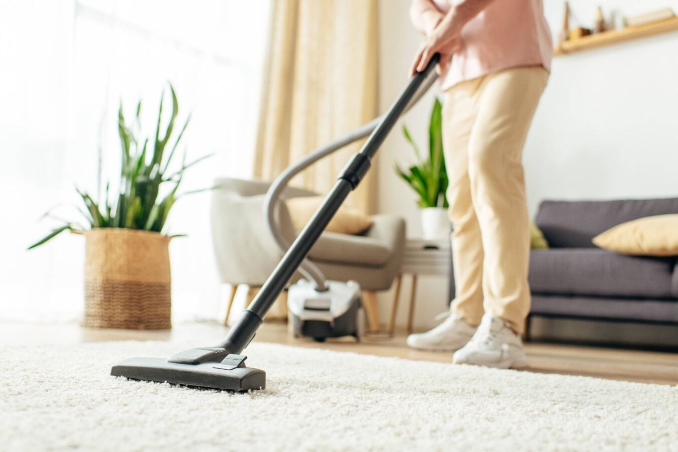 A person vacuuming a light-colored carpet in a bright living room with houseplants and a sofa in the background.