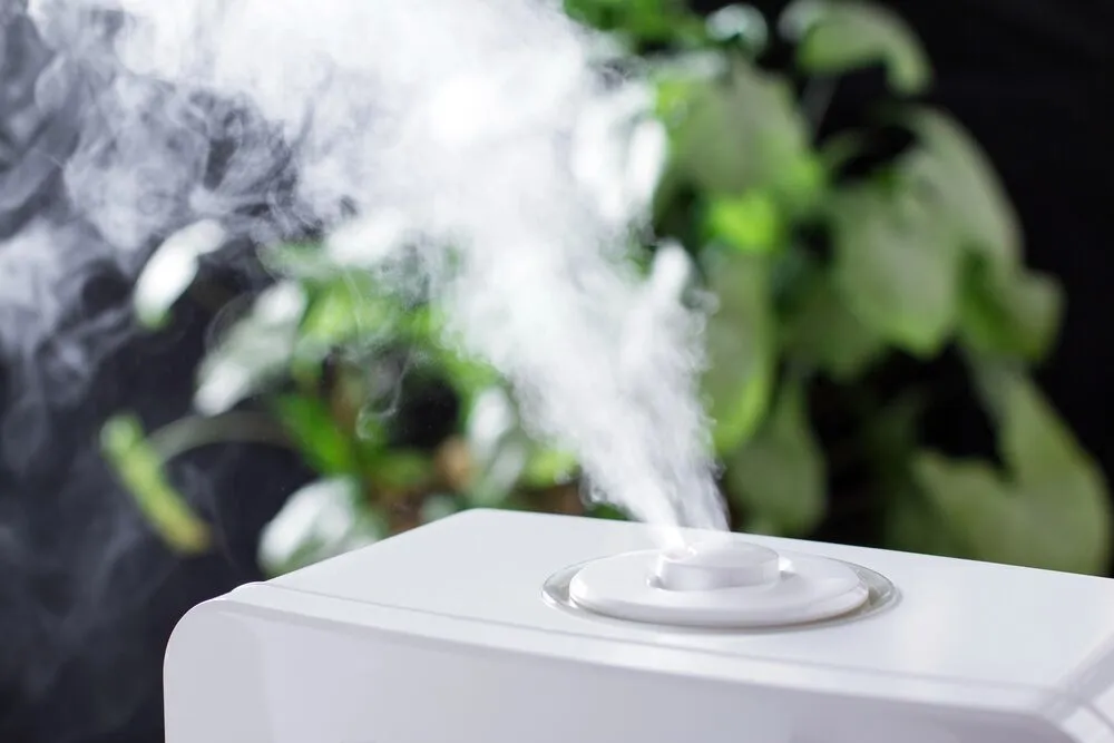 A white humidifier releasing a visible mist in front of leafy green plants.