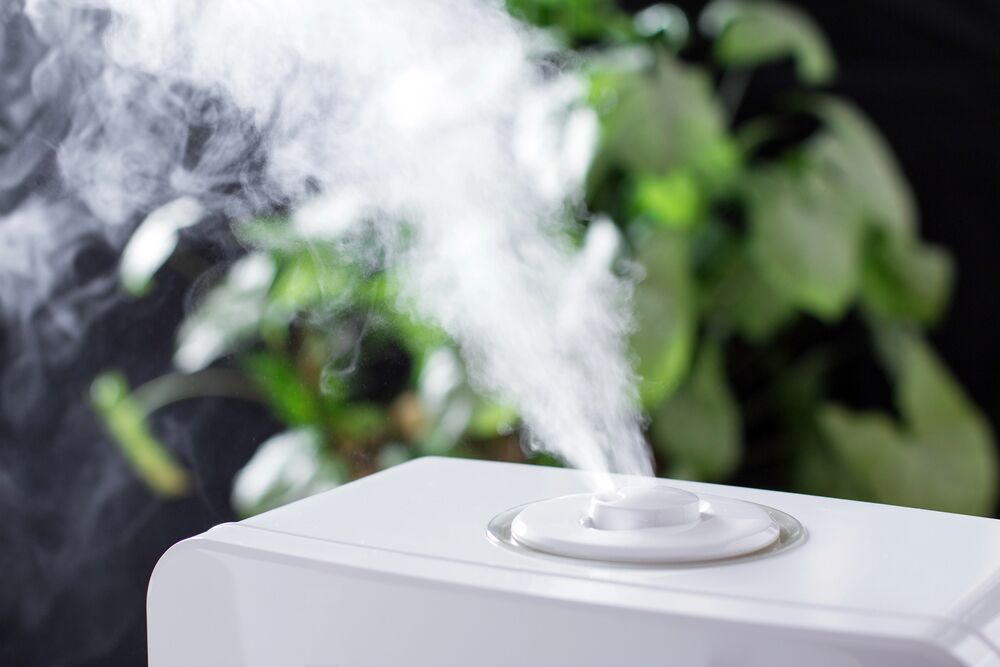 A white humidifier releasing a visible mist in front of leafy green plants.